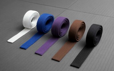 Unlock the path: brazilian jiu-jitsu levels explained for beginners and beyond