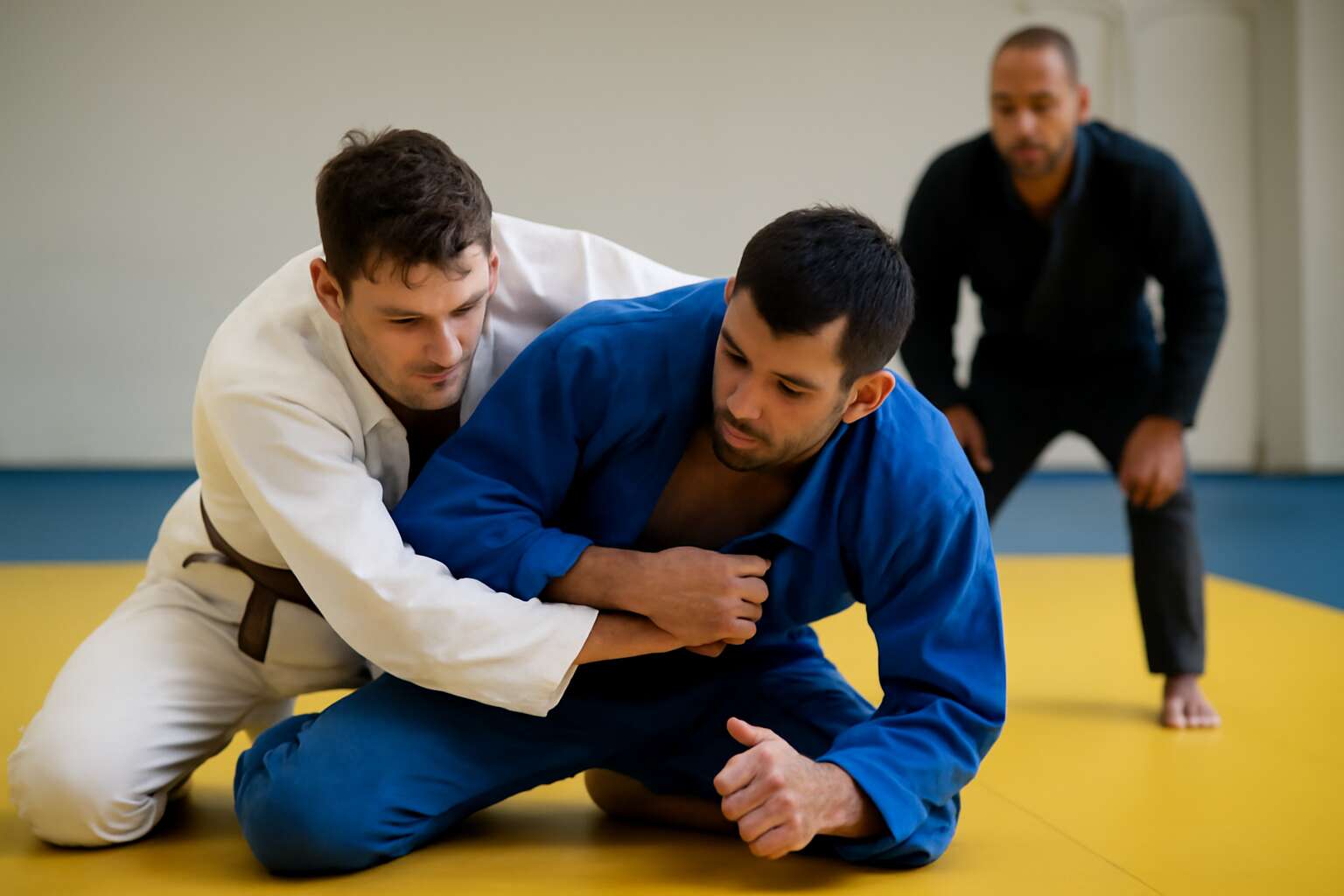 will brazilian jiu jitsu